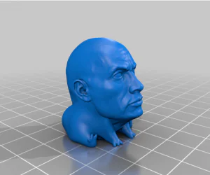 Rock Thicc Frog 3D Models