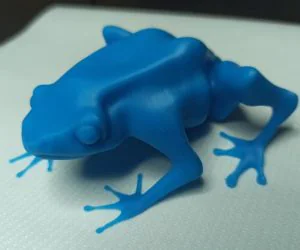 Dendrobate Frog 3D Models
