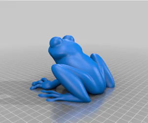 Frog 3D Models