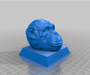Monotonie Monkey Award 3D Models