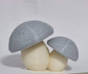 Tina’S Mushroom 3D Models