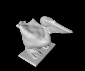 Its Polly Pelican 3D Models