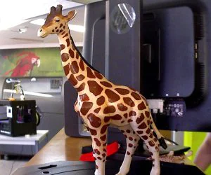 Giraffee Test 3D Models