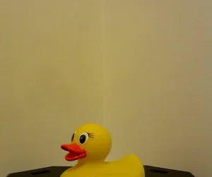 Rubber Duckie 3D Models
