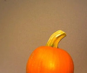 Digitizer Pumpkin 3D Models