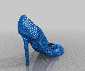 Voronoi Shoe 3D Models