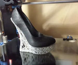 Lace Woman High Wedge Shoe 3D Models