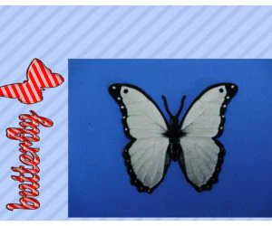 Colgante Mariposa Pendant Butterfly 3D Models