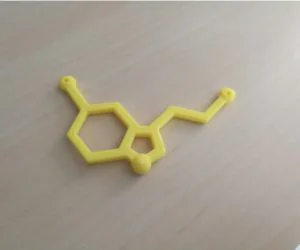 Serotonin Pendantkeychain 3D Models