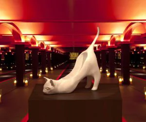 Crazy Cat Shoe 3D Models