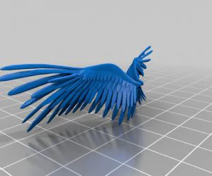 Wings 3D Models