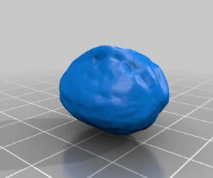 Walnut Actually 3D Models