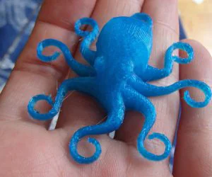 Charming Octopus 3D Models