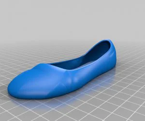 Ballet Shoe 3D Models