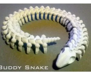 Buddy Snake 3D Models