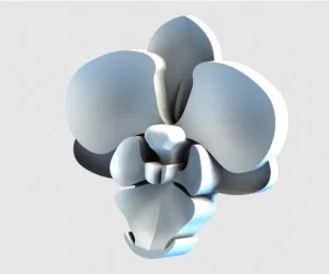 Orchid Shaped Brooch Broche Orchidée 3D Models