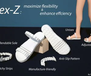 Flexz: Flexible Shoe 3D Models