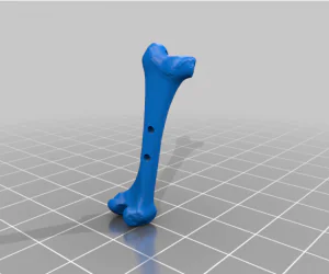 Bone Toggle Button 3D Models