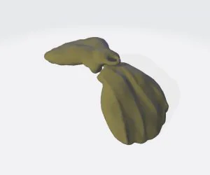 Sea Shell Keychain 3D Models