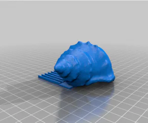 Shell Hair Comb 3D Models