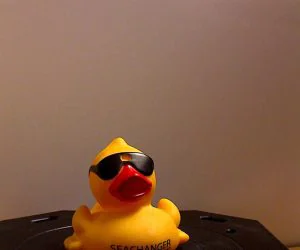 Ducky 02 3D Models