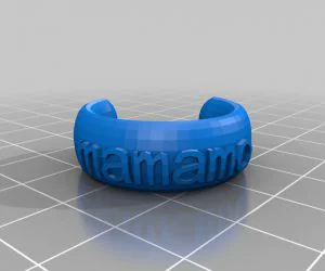 My Customized Text Ringbraceletcrown Thing 3D Models