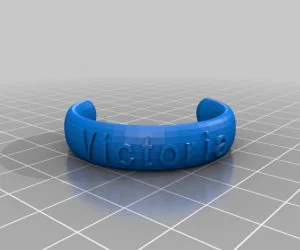 My Customized Ringbraceletcrown Thing V2 3D Models