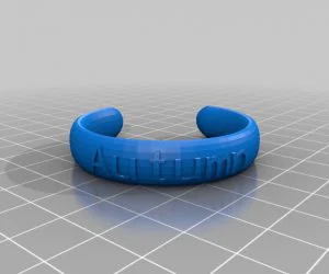 Bangle Wrist Chain Samseng 3D Models