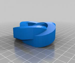 L R Bracelet 2 3D Models