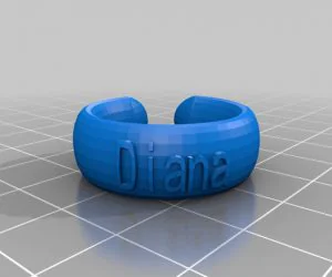 My Customized Bridge Love Lock 3D Models