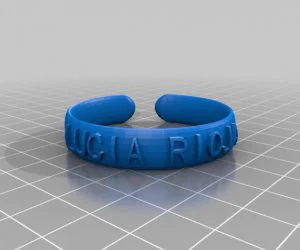 My Customized Text Ringbraceletcrown Thing 3D Models