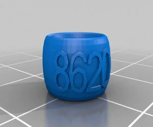 My Customized Text Ringbraceletcrown Thing 3D Models