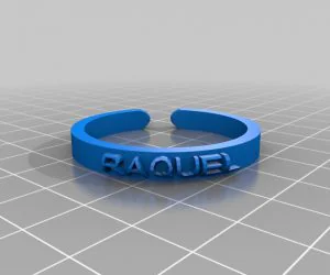 My Customized Text Ringbraceletcrown Thing 3D Models