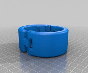 Belarus Bracelet And Flag 3D Models