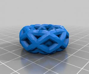Thatcamp Ring 3D Models