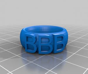 Claudia Size 19 My Customized Text Ringbraceletcrown Thing 3D Models