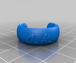 Ring 3D Models