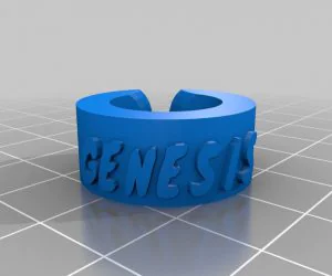My Customized Text Ringbraceletcrown Thing 14 3D Models