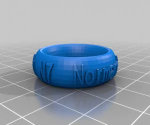 My Ring Project 3D Models