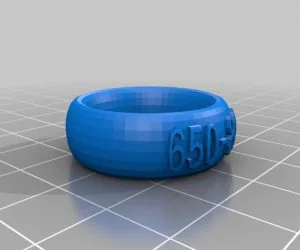 Viking Raven Bracelet 3D Models