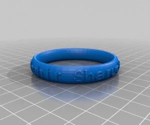 Swirly Bracelet 3D Models