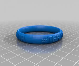 Customizable Chainmail Bracelet 3D Models