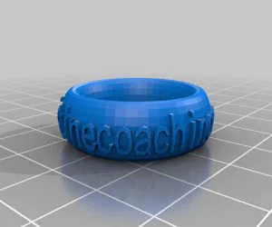 My Customized Ringbraceletcrown Thing V2 3D Models