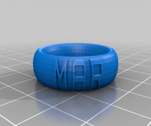 My Customized Ringbraceletcrown Thing V2 3D Models