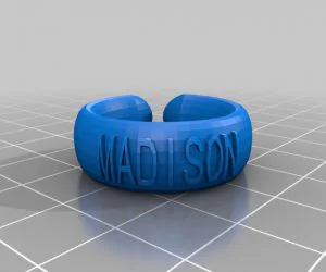 My Customized Ringbraceletcrown Thing V2 3D Models