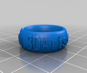 My Customized Ringbraceletcrown Thing V2 3D Models