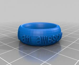 My Customized Text Ringbraceletcrown Thing 3D Models