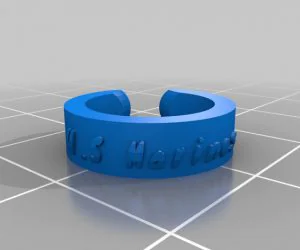 My Customized Text Ringbraceletcrown Thing 3D Models