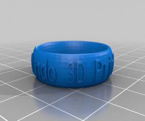 My Customized Text Ringbraceletcrown Thing Paty Marcio 3D Models