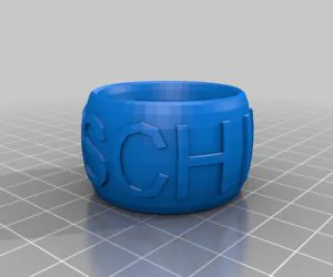 C.A.C.A.S.I.L. Ringbraceletcrown Thing 3D Models